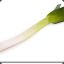 Leek