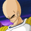 VEGETA CEARENSE