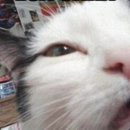 Down Cat