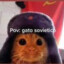 [RL] Gato Sovietico