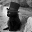 cat_with_hat