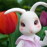 ⎛⎞兔三月⎛⎞