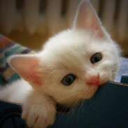 偷偷的摸鱼然后刀掉你