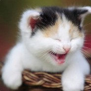 少年丶