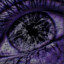 T A L E N T | .sh1z1