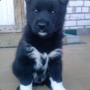 Меня зовут Настя