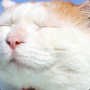 我有明珠一颗 照耀山河万朵