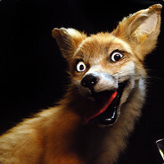 ☬ᶜᴿᴬᶻᵞFox☬