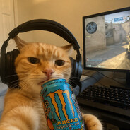 Steam Avatar