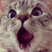 (๑•̀ㅂ•́)و✧