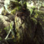 Treebeard