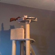 dumpling's avatar