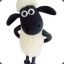 Sheep_22