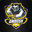 AmbushGG.nitrous