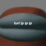 turip ip ip