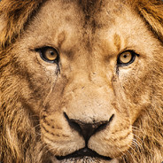 ✪ L1MPAN I LOVE BEER <3