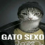 Gato Sex