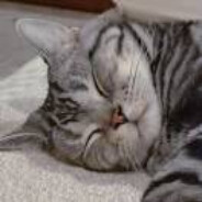 Renaissance矩边形