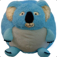 Blue Koala