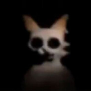 MSMPetch027 avatar