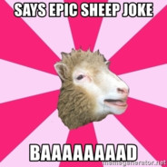 Mr.sheep