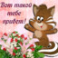 ☼МЕТАДОН
