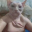 pornoghjkl
