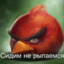 Писуар