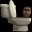 sKiBiDi toilet