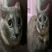 auraeater - steam id 76561199548804052