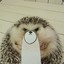 Angry Hedgehog