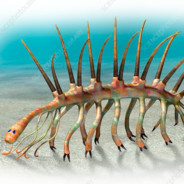 Hallucigenia