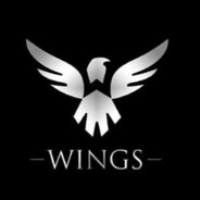 WINGS之后，再无CNDOTA