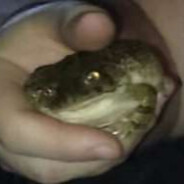 Sir Gentle Toad