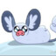 Rabbit Fishy