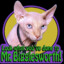 Mr. Bigglesworth