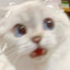 丢丢丢