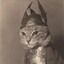 Brunnhilde