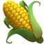 CORN