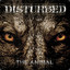 DistuRbed