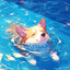 バ𝓞𝓻𝓻𝓻𝓲カ