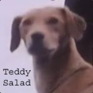Teddy Salad
