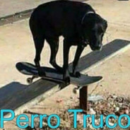 PERRO TRUCO