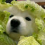 蟹不肉
