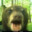 ACIDHOUSE
