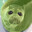 Glorby
