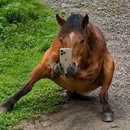 Jack Horseman