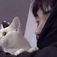 凡凡从来不白给