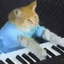 Gato tocando el piano