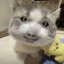 帥鍋